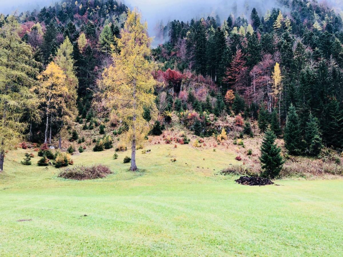 Obern 41